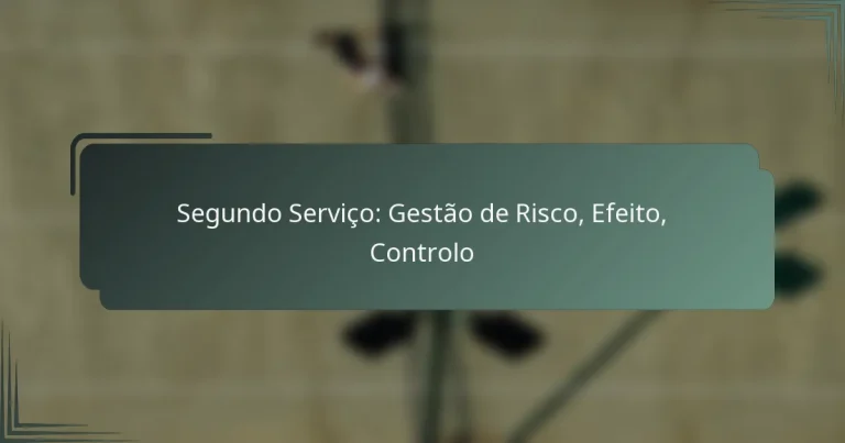 Segundo Serviço: Gestão de Risco, Efeito, Controlo